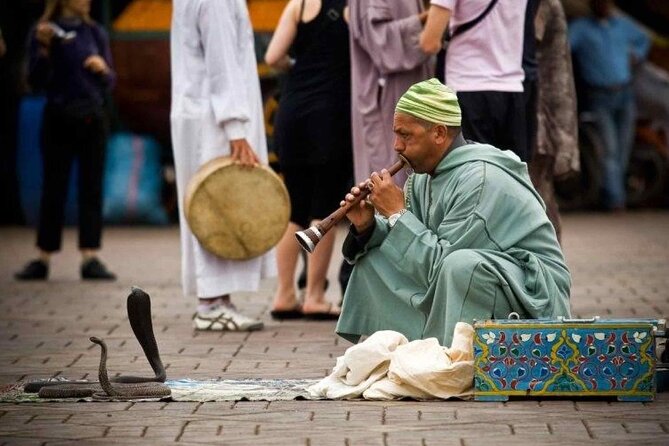 1 Day Guided Tour in Marrakech from Agadir - The pacing, group size, and comfort trade-offs