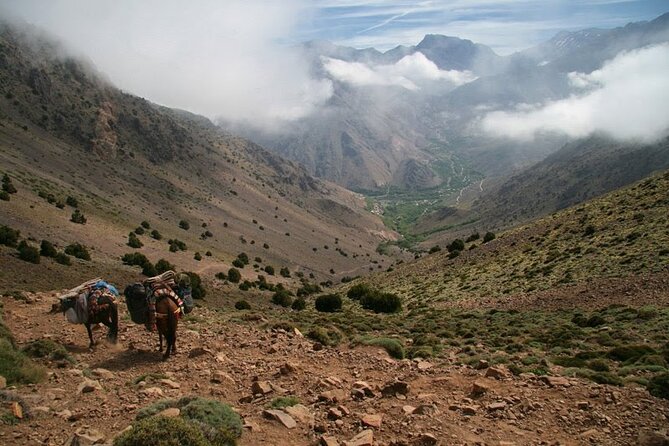 1-Day tripTour from Marrakech to Imlil in Atlas Mountains - From Marrakech to Imlil, a smooth start into the High Atlas