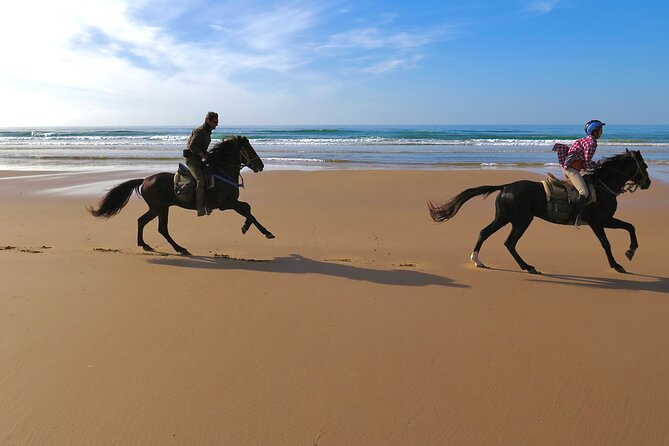 1 hour horse ride on the beach of essaouira - Guides Keep You Comfortable, Including When You Are Rusty