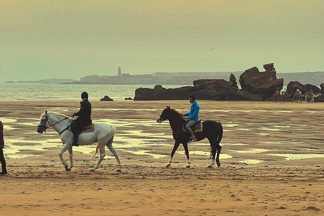 1 hour horse ride on the beach of essaouira - The Price and Value Question: Is $34.89 Worth It?