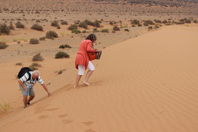 1 night in desert from Agadir - Guelmim: the Sahara gateway with a trading pulse