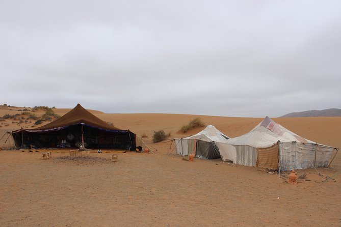 1 night in desert from Agadir - Dinner, music, and the campfire party (the part people remember)