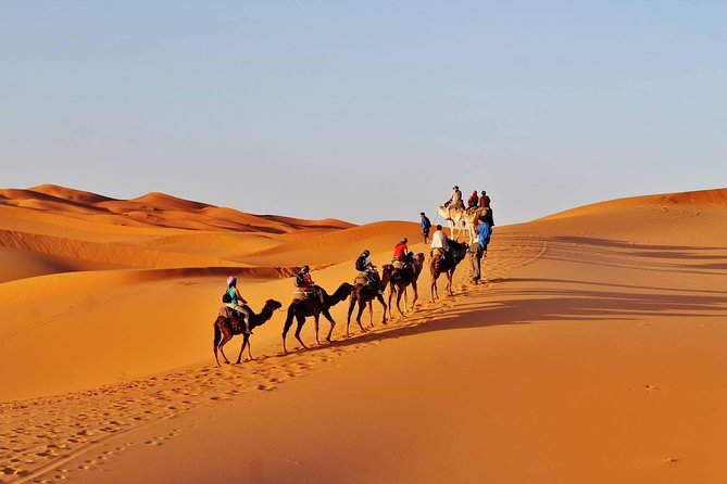 10-Day Morocco Tour from Casablanca via Sahara Desert & Chefchaouen - Key highlights worth knowing