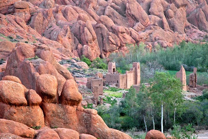 10-Day Morocco Tour from Casablanca via Sahara Desert & Chefchaouen - Ifrane and the Middle Atlas: cool air, cedar forests, and Berber village views