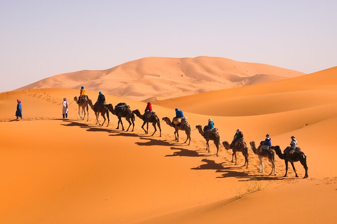 10 Days Morocco Private Tour From Marrakech By South Desert And Imperials Cities - Fez full-day guide: Mellah, tannery sights, and UNESCO-level old streets