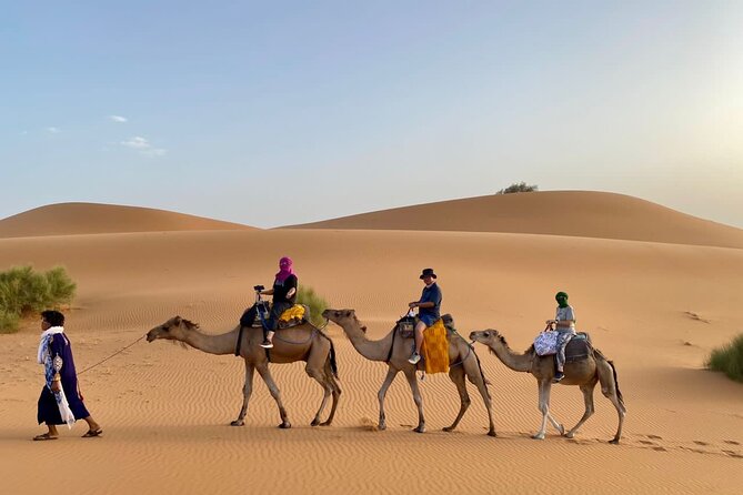 10 days Morocco tour from Casablanca - Day 4 in the Desert Region: Depot Nomade and Berber Carpets Without the Pressure