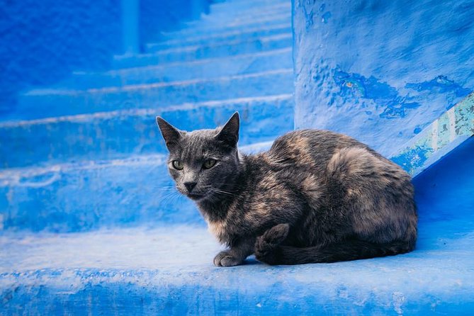 10-days Private tour in Morocco: Sahara Desert + Imperial Cities - Rabat’s royal monuments, then Chefchaouen’s blue medina calm