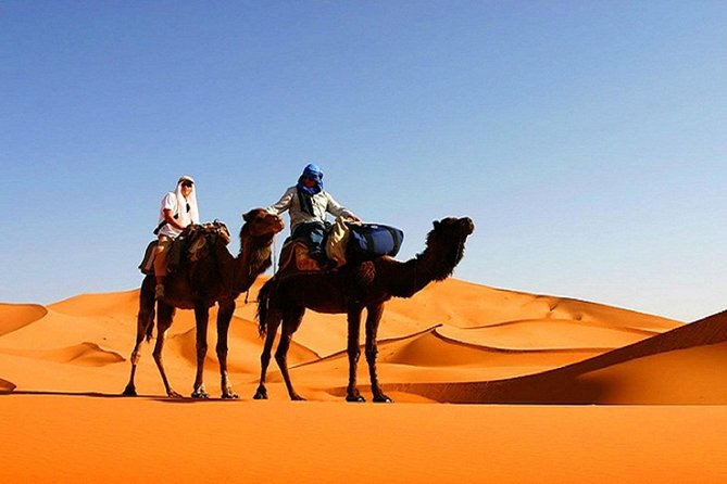 10 Days Tour From Casablanca, Morocco - Casablanca arrival and Hassan II Mosque first impressions
