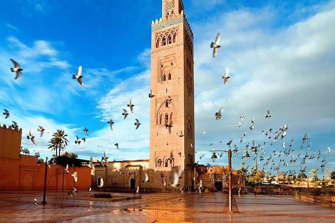 10 Days Tour From Casablanca, Morocco - Crossing the Atlas to Merzouga: Ifran cedars and Ziz Valley time