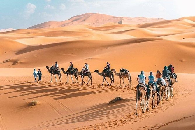 10D 9N Private Morocco Tour From Casablanca By Imperial Cities And South Desert - Rissani Markets, Todra Gorge, and Dades Valley Mud Kasbahs