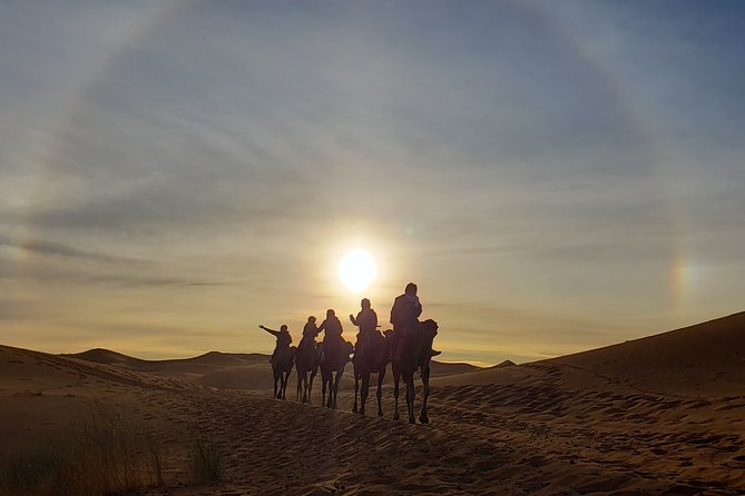 11 Days Adventurous Must-Do Morocco Cultural Tour from Casablanca - Fez medina with a guide: seeing without panicking