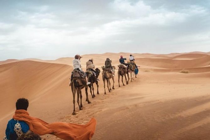 11 Days Morocco Epic Private Tour - Casablanca to Marrakesh via Chaouen & Desert - Volubilis, Meknes, and Fes: three imperial cities, three time periods