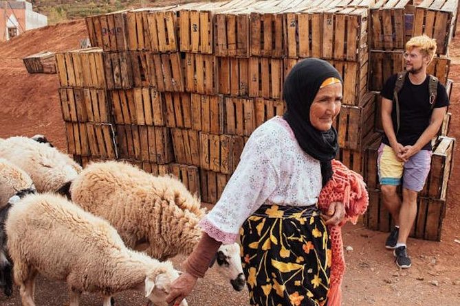 11 Days Morocco Epic Private Tour - Casablanca to Marrakesh via Chaouen & Desert - Erg Chebbi sunset to starlit camp: camels, Khamlia, and Rissani