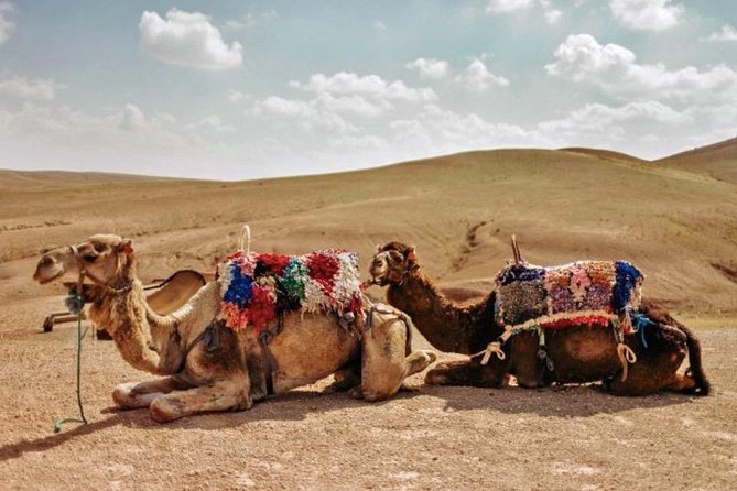 11 Days Morocco Epic Private Tour - Casablanca to Marrakesh via Chaouen & Desert - Ouarzazate film scenes, Ait Benhaddou, and the climb to Marrakech