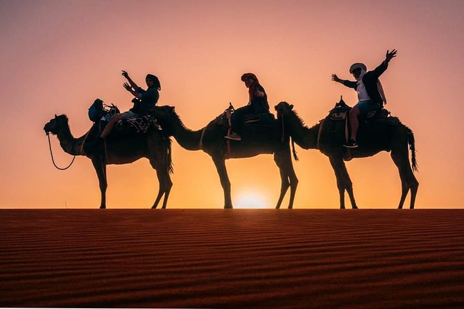 12 Days 11 Nights The best of Morocco (starts and end in Marrakesh) - Marrakech return with argan cooperatives and a final city evening