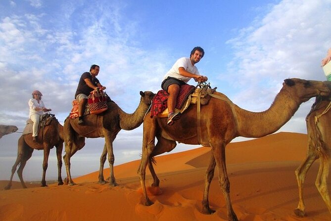 12 Days Private Luxury Sightseeing Tour in Morocco - Why a private 12-day route makes Morocco feel easier