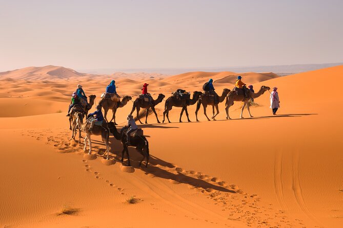 12D 11N Private Morocco Tour From Casablanca By Imperial Cities - Rissani souk, fossil crafts in Erfoud, Todra Gorge cliffs, then Dades Valley mud kasbahs