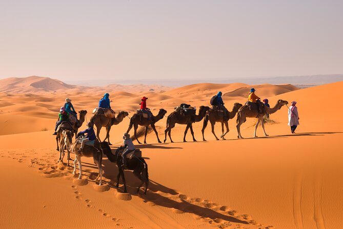15 Days Morocco Private Grand Tour From North To South Starting From Casablanca - Volubilis, Moulay Idriss, and Meknes to Fes: Roman to imperial in one arc