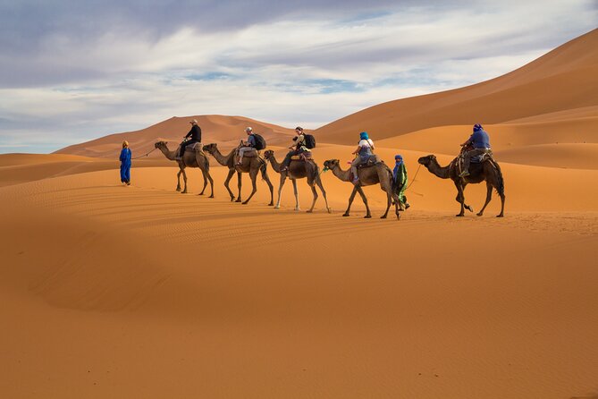 15 Days Morocco Private Grand Tour From North To South Starting From Casablanca - Fes el-Bali with a local guide: tannery views and old-world learning