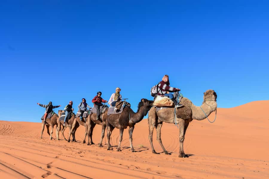 2-Day, 1-Night Desert Trip to Merzouga from Ouarzazate - Ouarzazate to Merzouga by kasbah country and Todra Gorges