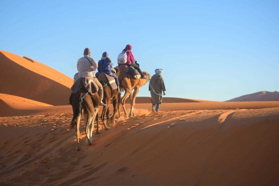 2-Day, 1-Night Desert Trip to Merzouga from Ouarzazate - Price and value: what $141 includes, and what you should budget