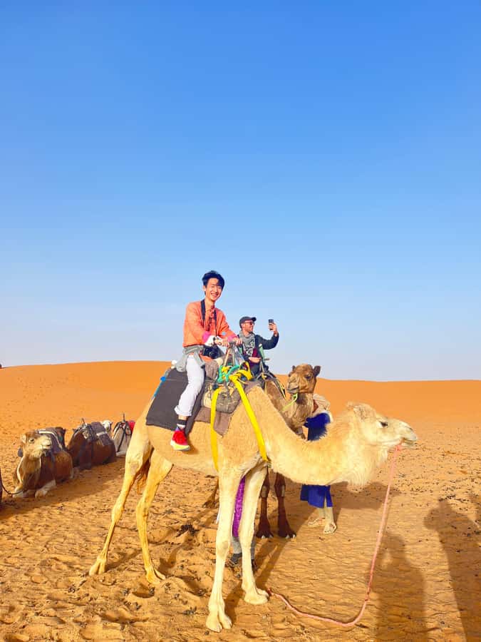 2-Day Desert tour from Fes to Fes/Marrakech wit Luxury Camp - From Fes to Merzouga: what the long drive really gives you