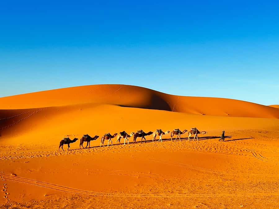 2-Day Desert tour from Fes to Fes/Marrakech wit Luxury Camp - Price and value for a $114 desert escape