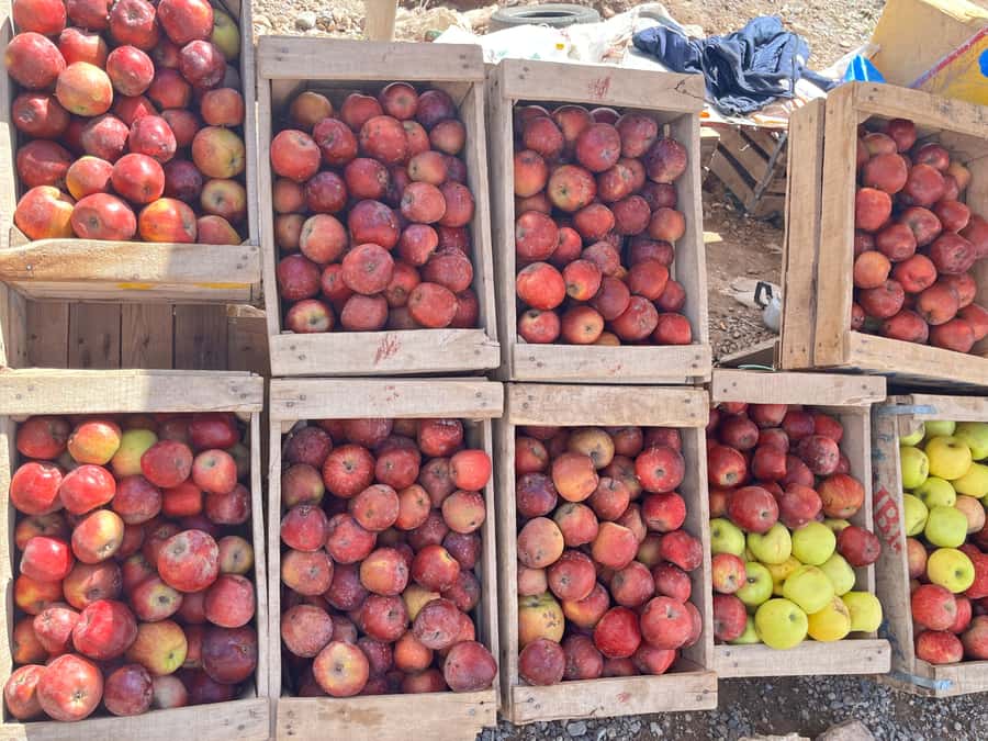 2-Day Desert tour from Fes to Fes/Marrakech wit Luxury Camp - Who this tour suits best, and who should skip it