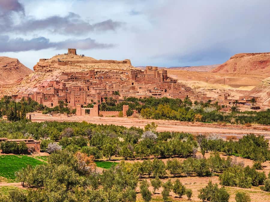 2-Day Excursion Marrakech to Ait Ben Haddou & Zagora Desert - Camel Ride to Zagora Camp, the Part Everyone Remembers