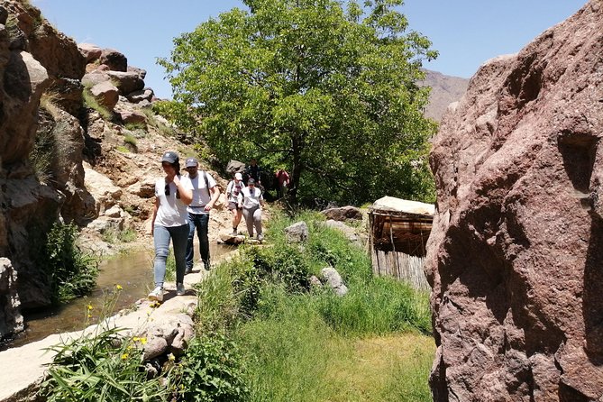2-Day Guided Trek of the Atlas Mountains and Berber Villages - Marrakech to the Atlas, with pickup that actually matters