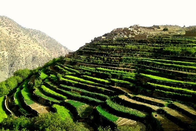 2-Day Guided Trek of the Atlas Mountains and Berber Villages - Day 2: Berber village views, forests, and rivers before heading back