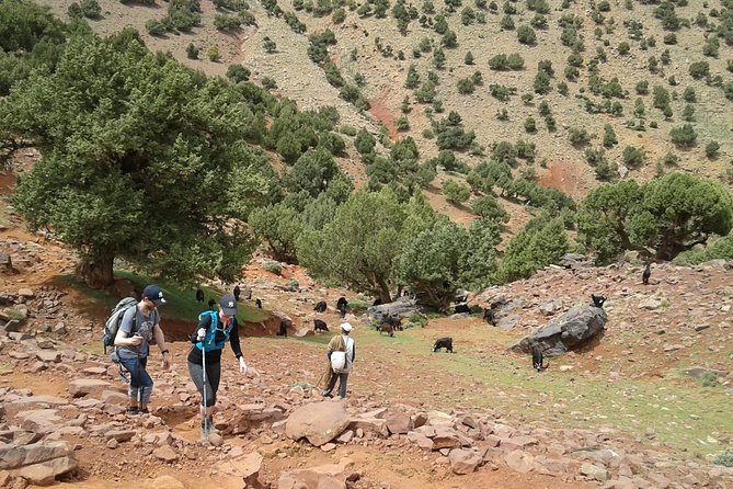 2-Day Guided Trek of the Atlas Mountains and Berber Villages - Weather in the Atlas: pack for sun, shade, and surprises