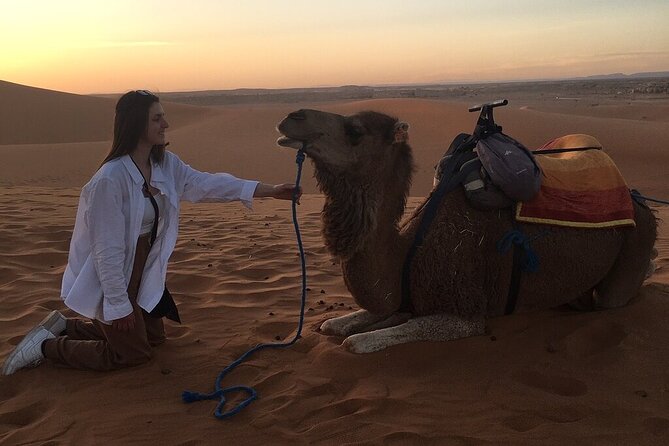 2 Day Luxury Desert Tour from Fes to Fes or Marrakech - Value for money: what $127.76 includes and what to budget extra