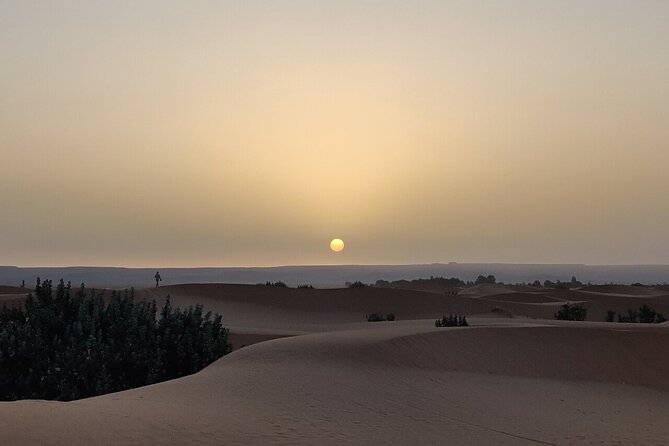 2 Day Luxury Desert Tour from Fes to Fes or Marrakech - Who this tour suits, and who might prefer another option