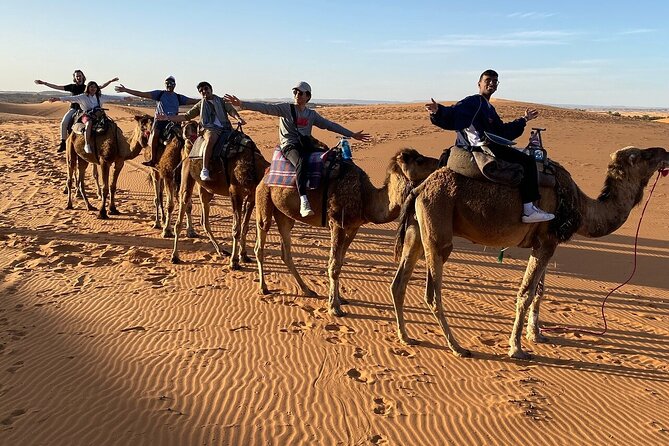 2 Day Luxury Desert Tour from Fes to Fes or Marrakech - Ifrane National Park, cedar forests, and the cool-to-hot temperature shift