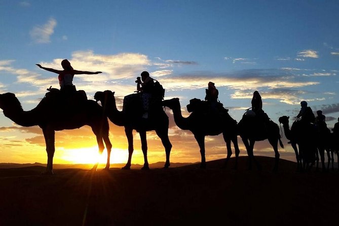 2-Day Zagora Desert Tour from Marrakech - Leaving Marrakech For The High Atlas Photo Stops