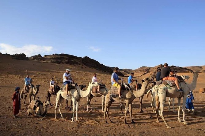 2-Day Zagora Tour from Marrakech Including the Atlas Mountains, Camel Trek and Desert Camp - The real tradeoff: 8 hours of driving, and how to survive it