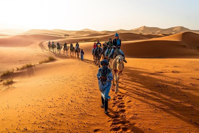 2 Days 1 Night Private Desert Trip from Fes to Merzouga - Key highlights you should care about