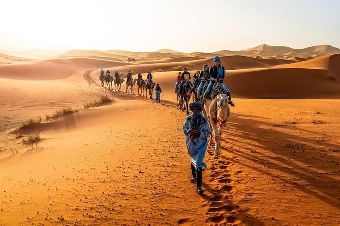 2 Days/1 Night Sahara Desert Trip: Fes - Merzouga - Fes - Cedre Gouraud Forest: magot monkeys and the art of quick photos