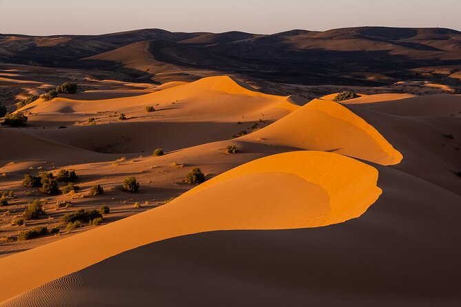 2 Days/1 Night Sahara Desert Trip: Fes - Merzouga - Fes - Price and logistics: how $141.52 fits a two-day Sahara plan