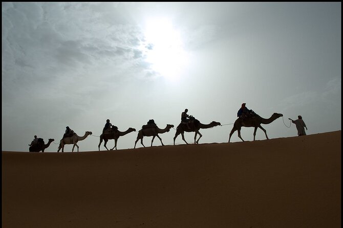 2 Days/1 Night Sahara Desert Trip: Fes - Merzouga - Fes - Who this Sahara trip is best for