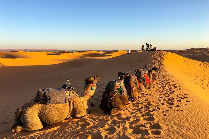 2 Days/1 Night Sahara Desert Trip: Fes - Merzouga - Fes - The Zaida lunch break and the drive down to Merzouga