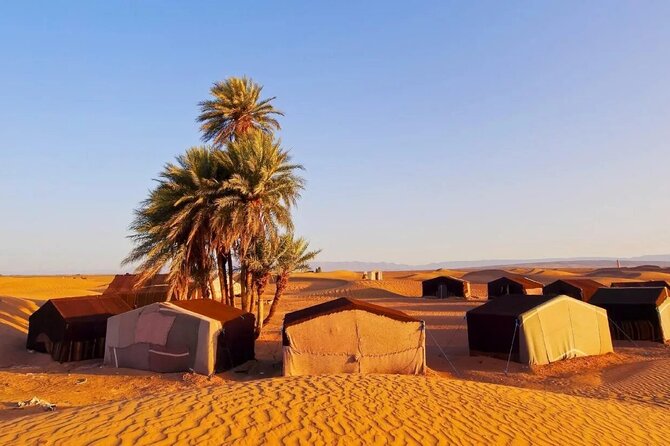 2 Days Desert Tour From Marrakech To Zagora And Camel Trek - Sunrise routine in Zagora: early wake-up, breakfast, and camel ride back to the hotel