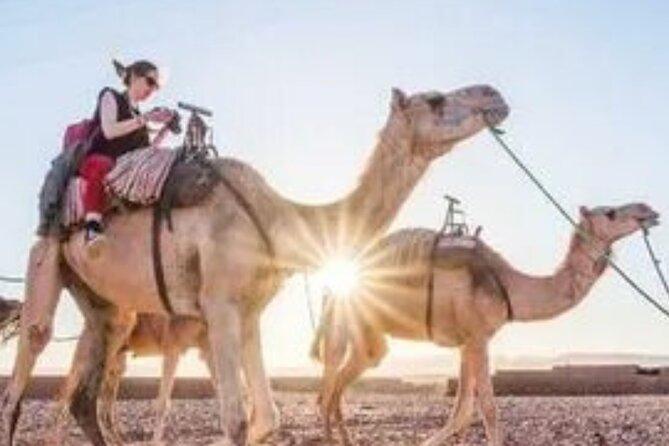 2 Days Desert Tour From Marrakech To Zagora And Camel Trek - Guides and safety: what the named team did right