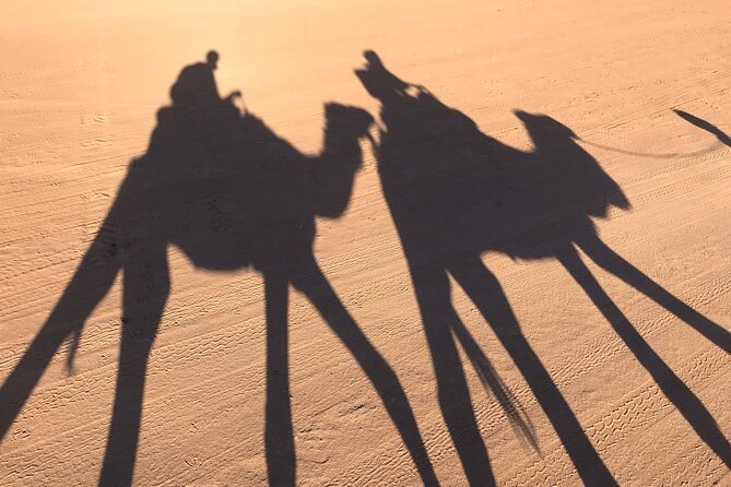 2-Days Desert Tours from Fes with Overnight in Luxury Camp - Merzouga arrival around 5 pm: the desert rhythm starts