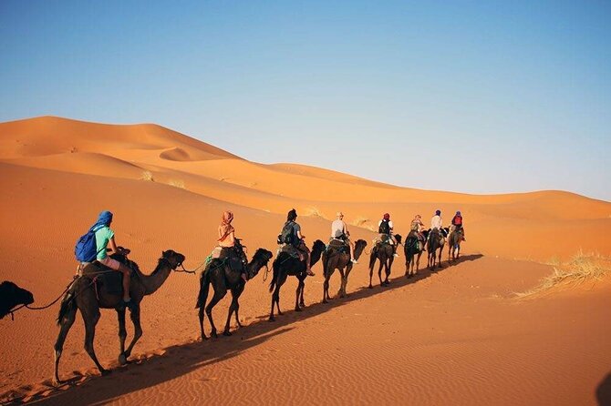 2 Days Desert Trip Back To Fes/ Or Marrakech - Who This Trip Is Best For (and When to Skip It)