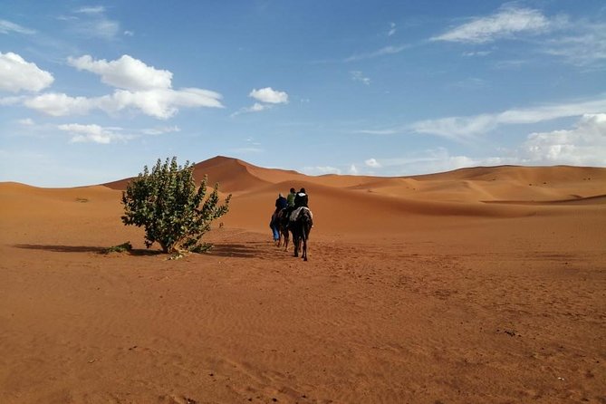 2 Days Fes Desert trip Overnight Erg chebbi End up Fes/Marrakech - Sunrise dunes and the shower-plus-breakfast reset