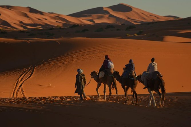 2 Days Fes Desert trip Overnight Erg chebbi End up Fes/Marrakech - Atlas mountains, Ifrane, cedar forest, and the Midelt lunch stop
