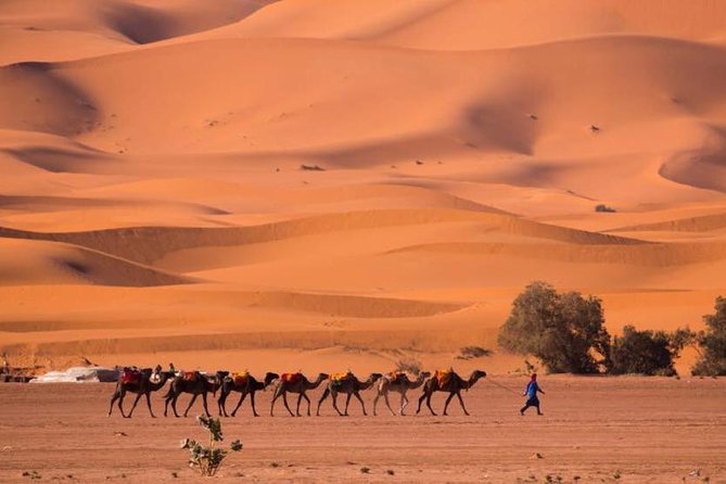 2 Days luxury desert tour from Fes - Day 1: Ifrane cold air, Azrou Berber culture, and the long road to the dunes
