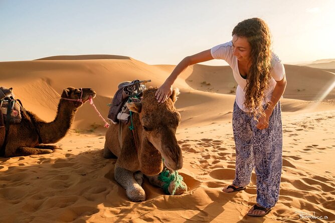 2 days luxury desert trip [fes to fes or marakech] - Ifrane and the Cedar Forest Near Azrou, a Quick Change of World